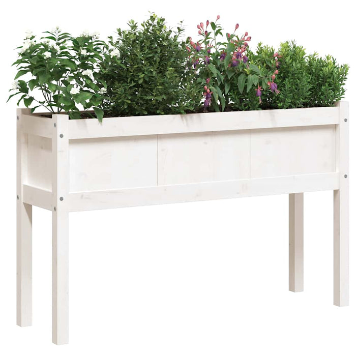 Jardiniere de grădină cu picioare 2 buc. alb lemn masiv de pin - WALTI WALTI