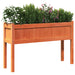 Jardinieră grădină cu picioare maro ceruit 110x31x70cm lemn pin - WALTI WALTI
