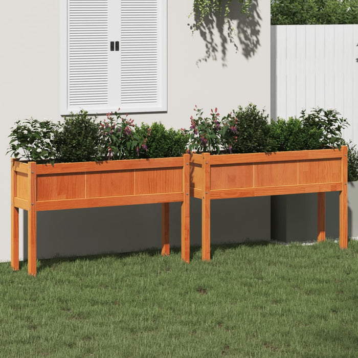 Jardiniere grădină cu picioare, 2 buc., maro ceruit, lemn pin - WALTI WALTI
