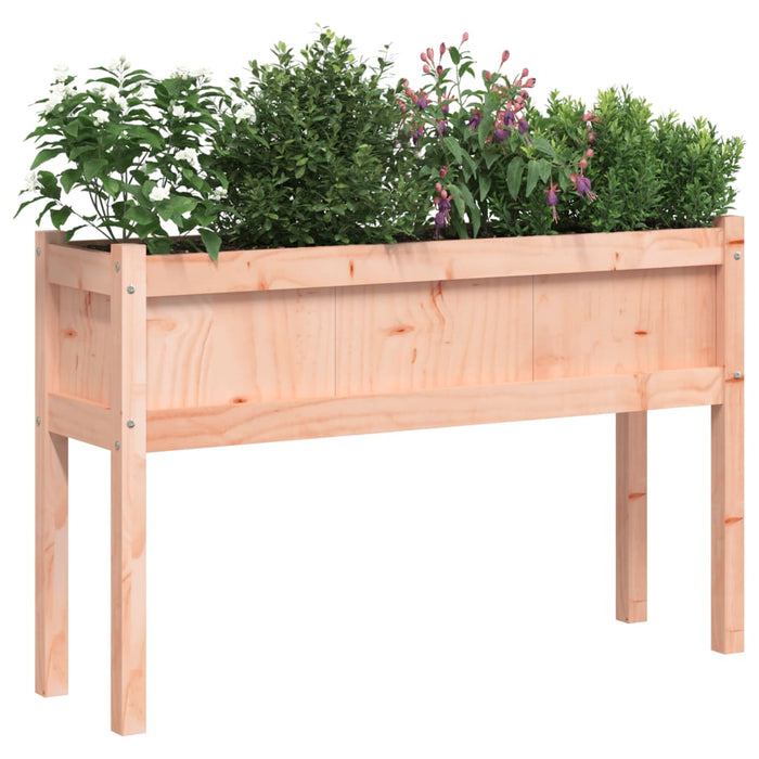 Jardiniere de grădină cu picioare, 2 buc., lemn masiv Douglas WALTI