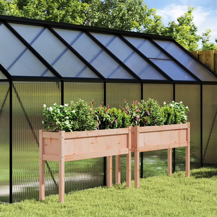 Jardiniere de grădină cu picioare, 2 buc., lemn masiv Douglas WALTI