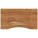 Blat de birou 100x50x2,5 cm dreptunghiular lemn masiv de acacia - WALTI WALTI