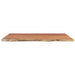 Blat de baie, 100x60x2,5 cm, dreptunghiular, lemn masiv acacia - WALTI WALTI