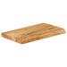 Blat de masă contur organic 40x30x3,8 cm lemn masiv de mango - WALTI WALTI