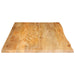 Blat de masă contur organic 120x60x3,8 cm lemn masiv de mango - WALTI WALTI