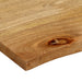 Blat de masă contur organic 120x60x3,8 cm lemn masiv de mango - WALTI WALTI
