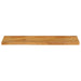 Blat de masă contur organic 100x30x2,5 cm lemn masiv de mango - WALTI WALTI