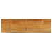 Blat de masă contur organic 100x30x2,5 cm lemn masiv de mango - WALTI WALTI