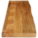 Blat de masă contur organic 160x30x2,5 cm lemn masiv de mango - WALTI WALTI