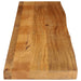 Blat de masă contur organic 180x20x3,8 cm lemn masiv de mango - WALTI WALTI