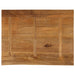 Blat de masă contur organic 110x80x3,8 cm lemn masiv de mango - WALTI WALTI