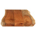Blat masă 100x40x3,8 cm dreptunghiular lemn acacia margine vie - WALTI WALTI