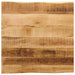 Blat de masă contur organic 40x40x2,5 cm lemn masiv mango brut - WALTI WALTI