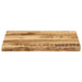 Blat de masă contur organic 60x40x2,5 cm lemn masiv mango brut - WALTI WALTI