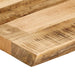 Blat de masă contur organic 110x60x2,5 cm lemn masiv mango brut - WALTI WALTI