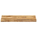 Blat de masă contur organic 80x40x3,8 cm lemn masiv mango brut - WALTI WALTI
