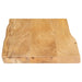Blat masă cu margini naturale, 50x40x2,5 cm, lemn masiv mango - WALTI WALTI