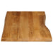 Blat masă cu margini, 100x60x3,8 cm, lemn masiv mango - WALTI WALTI