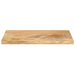 Blat masă 40x30x2,5 cm lemn masiv dreptunghiular de mango - WALTI WALTI