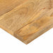 Blat masă 40x30x2,5 cm lemn masiv dreptunghiular de mango - WALTI WALTI