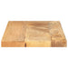 Blat masă 60x40x2,5 cm lemn masiv dreptunghiular de mango - WALTI WALTI