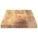 Blat masă 70x40x2,5 cm lemn masiv dreptunghiular de mango - WALTI WALTI