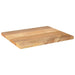 Blat masă 60x50x2,5 cm lemn masiv dreptunghiular de mango - WALTI WALTI