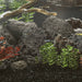 Roci vulcanice, 10 kg, negru, 10-30 cm - WALTI WALTI