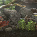 Roci vulcanice, 25 kg, negru, 10-30 cm - WALTI WALTI