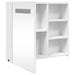 Dulap cu oglindă de baie cu lumină LED, alb, 60x13x52 cm - WALTI WALTI