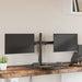 Suport de perete pentru monitor dublu VESA 75/100 mm negru oțel - WALTI WALTI