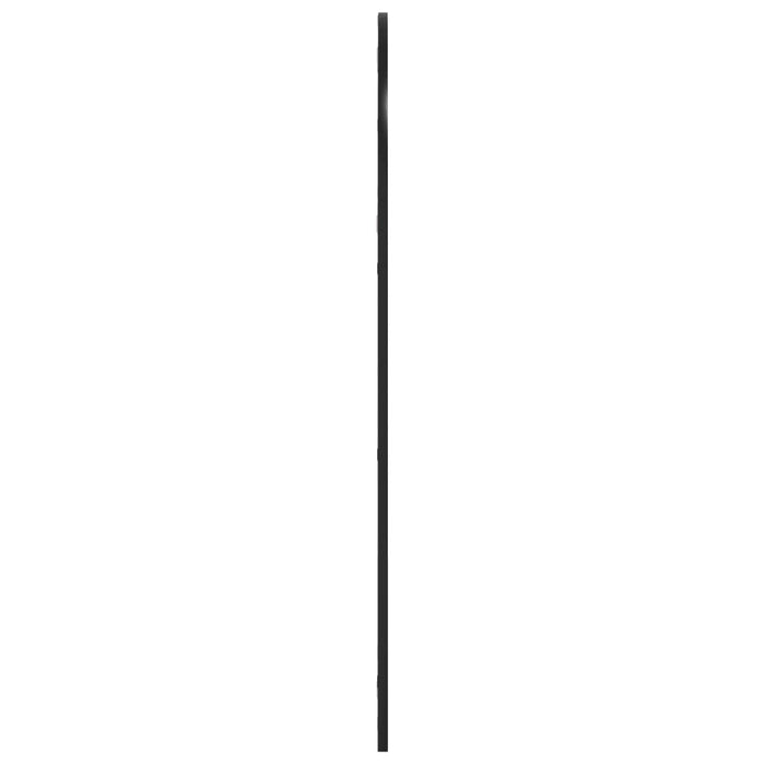 Oglindă de perete, negru, 60x110 cm, arcuită, fier - WALTI WALTI