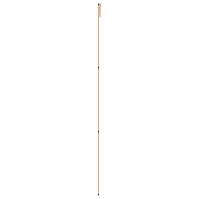 Ușă glisantă, auriu, 90x205 cm, sticlă ESG mată și aluminiu WALTI