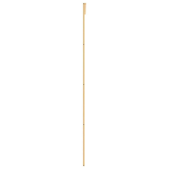 Ușă glisantă, auriu, 90x205 cm, sticlă ESG mată și aluminiu WALTI