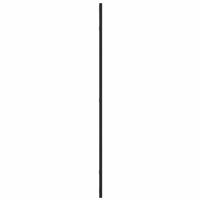 Oglindă de perete, negru, 50x100 cm, dreptunghiulară, fier - WALTI WALTI