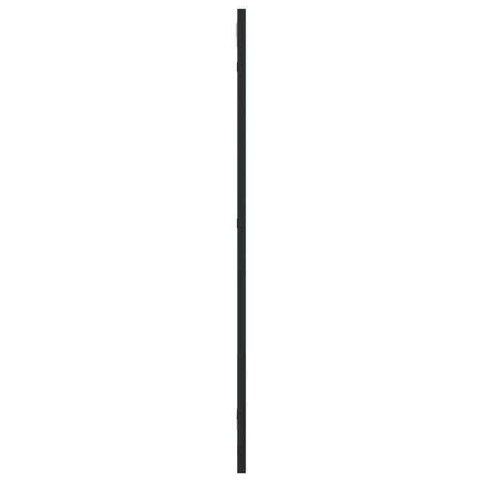 Oglindă de perete, negru, 30x80 cm, dreptunghiulară, fier - WALTI WALTI