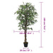 Arbore de arțar artificial 672 de frunze 180 cm verde - WALTI WALTI