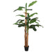 Bananier artificial 22 frunze 200 cm verde - WALTI WALTI