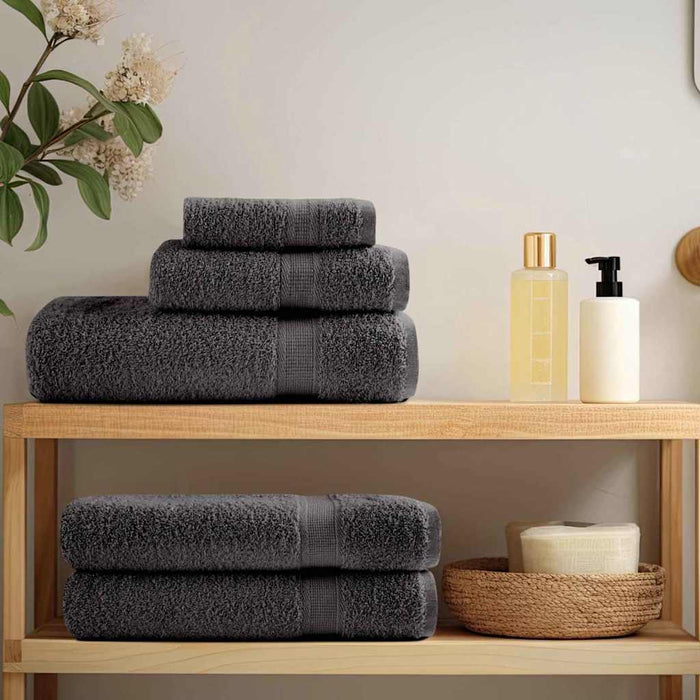 Prosoape de spalare 4 pcs Antracit 15 x 21 cm Bumbac - WALTI WALTI