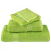 Prosop pentru musafiri SOLUND 2 pcs Verde 15 x 21 cm 550 gsm - WALTI WALTI