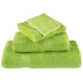 Prosoape oaspeți premium SOLUND 4 buc. verde 30x50 cm 600 gsm - WALTI WALTI