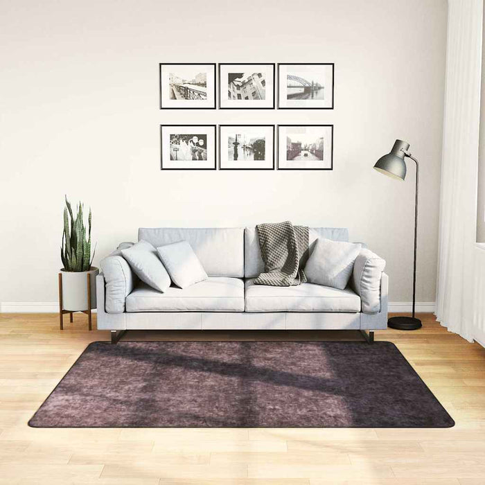 Covor lavabil, antracit, 120x170 cm, anti-alunecare WALTI