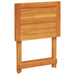 Set mobilier grădină pliabil, 3 piese, lemn masiv acacia - WALTI WALTI