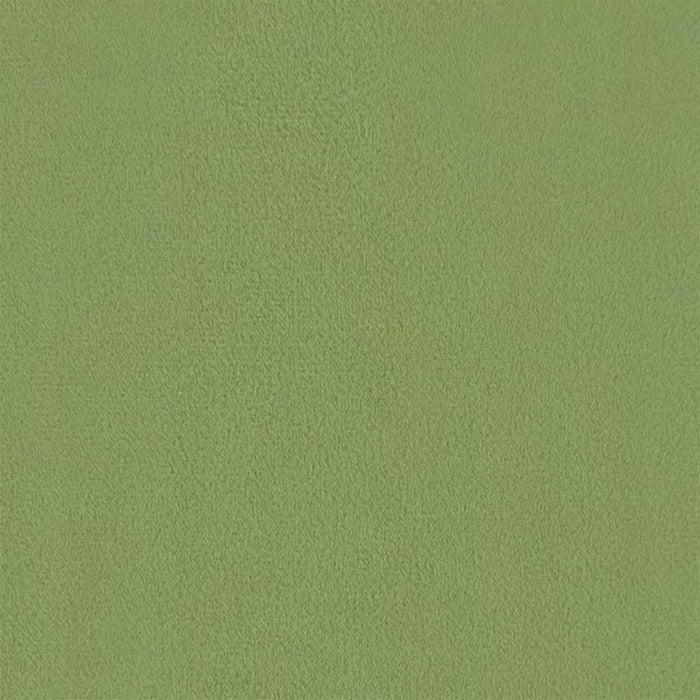 Fotoliu rabatabil, verde deschis, catifea WALTI
