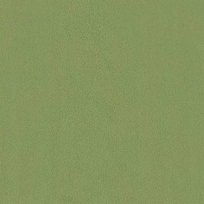 Fotoliu de masaj rabatabil, verde deschis, catifea WALTI
