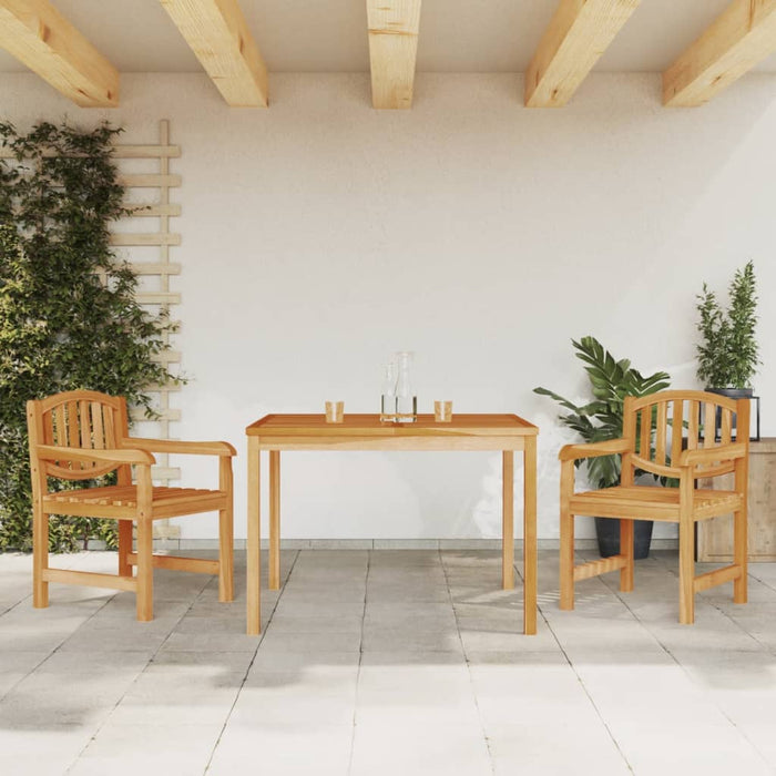 Set mobilier pentru grădină, 3 piese, lemn masiv de tec - WALTI WALTI