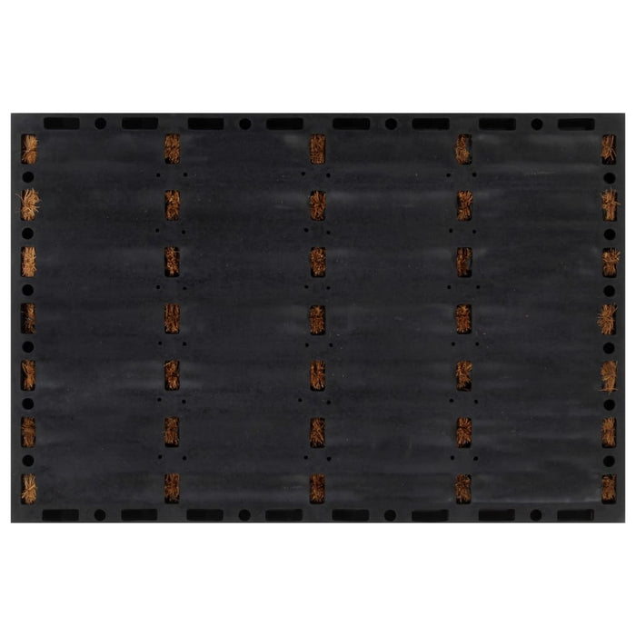 Covoraș de ușă dreptunghiular, 40x60 cm, cauciuc/nucă cocos - WALTI WALTI