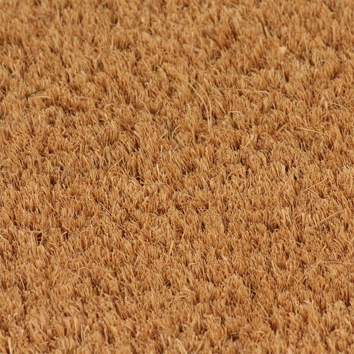 Covoraș de ușă, natural, 50x80 cm, fibre de cocos - WALTI WALTI