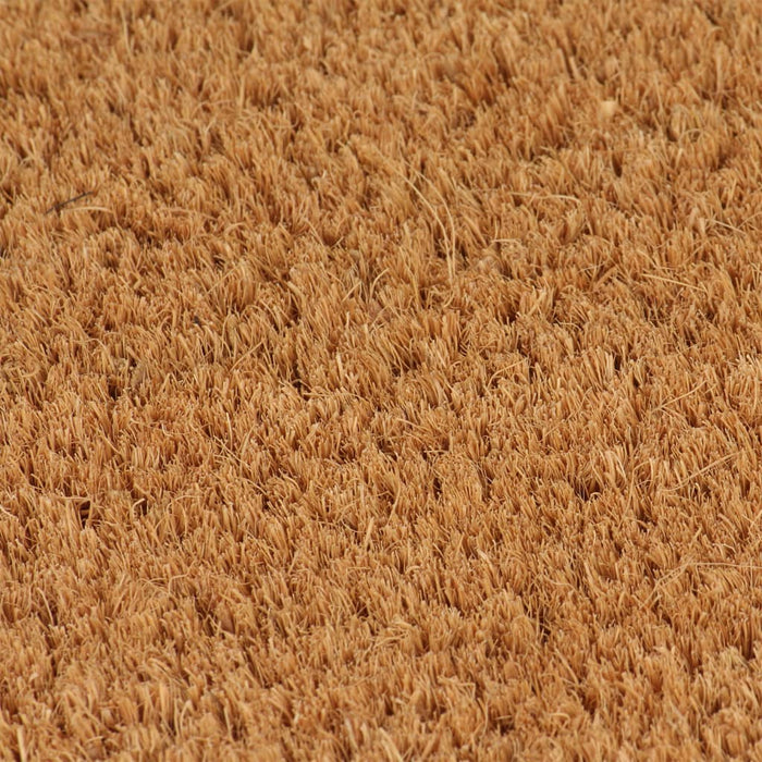 Covoraș de ușă, natural, 100x300 cm, fibre de cocos WALTI