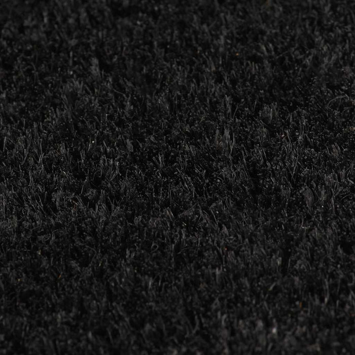 Covoraș de ușă, 2 buc., negru, 40x60 cm, fibre de cocos - WALTI WALTI